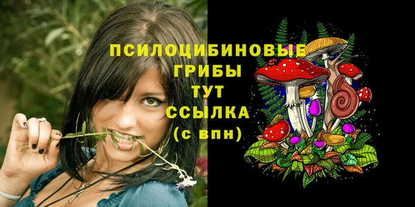 СК Инта