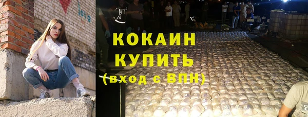 шишки Зеленодольск