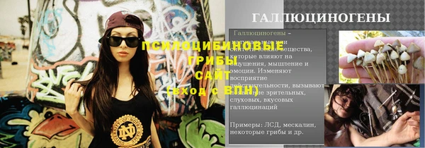 СК Инта