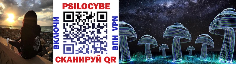 Галлюциногенные грибы Cubensis Купить Невьянск
